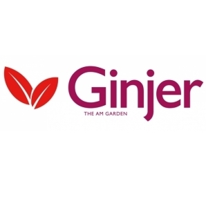 Ginjer AM